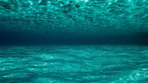 Download Wallpaper 1920x1080 Ocean Water Underwater