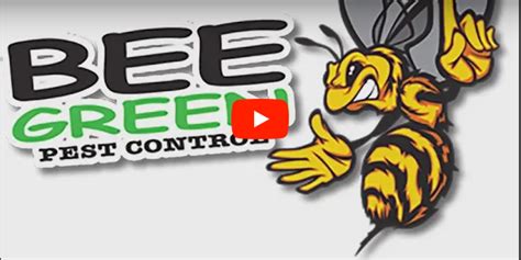 Helpful Florida Lawn Care Resources Bee Green Pest Control