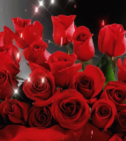 Flowers Red Roses Gif Flowers Red Roses Glitter Discover Share Gifs