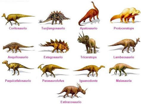 ¿conoces Todos Los Tipos De Dinosaurios Que Existen Vía