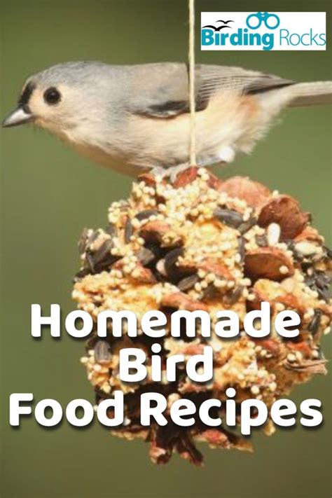 Now pour the prepared suet into the container taking care to position the rope in the center. Homemade Bird Food Recipes in 2020 | Bird food, Homemade ...