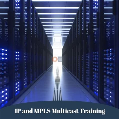 Ip And Mpls Multicast Training Orhan Ergun