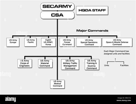 Army G8 Org Chart Army Military