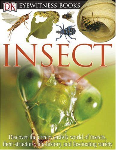 Insect Dk Eyewitness Books By Mound Laurence Book The Fast Free