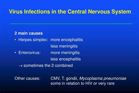Ppt Virus Infections In The Central Nervous System Powerpoint