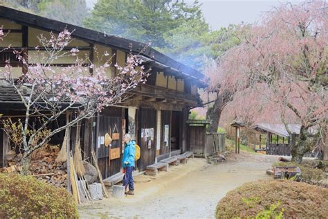 Read a guide to the historic nakasendo highway, a route from kyoto to tokyo through the central highlands of japan. Nakasendo Way Walking Tours | Nakasendo Trail in Japan ...