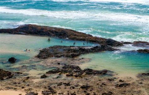 Champagne Pools Fraser Island 2020 All You Need To Know Before You