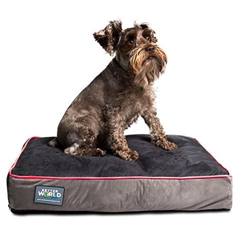 The 25 Best Rated Dog Beds For Large Dogs In 2019 Pet Life Today