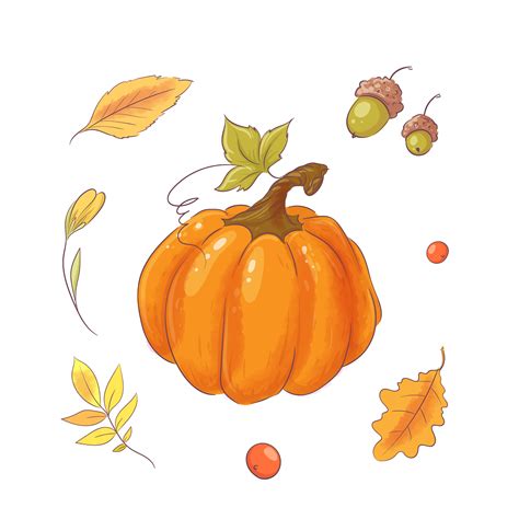 Hand Drawn Pumpkin And Leaves 671561 Vector Art At Vecteezy
