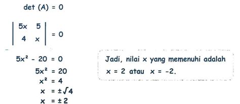 Contoh Soal Matriks Singular Beserta Jawaban Penjelasannya