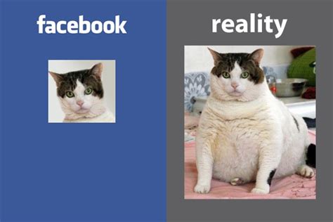 Facebook Profile Vs Reality Picture I Love To Laugh Pinterest