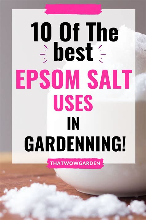 10 Proven Uses Of Epsom Salt In The Garden Thatwowgarden Epsom Salt Uses Pepper Plants