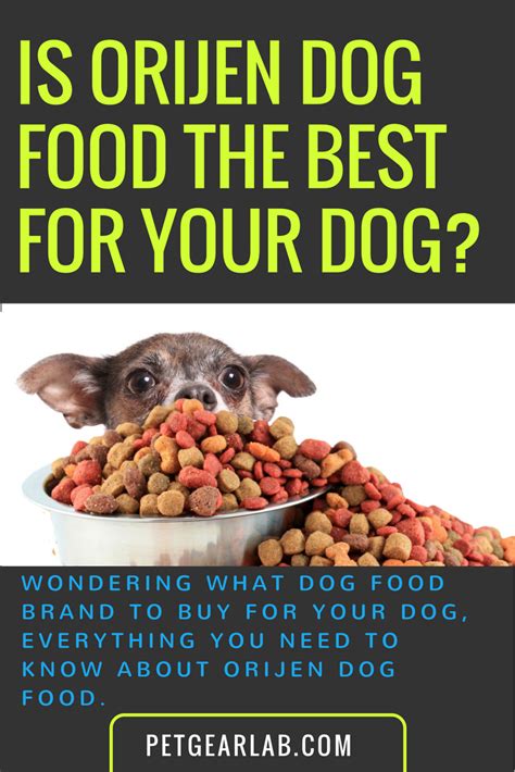 The packaging for your pup's dog food will have suggested feeding amounts. Orijen Dog Food Overview: Let's Have A Look At This Brand ...