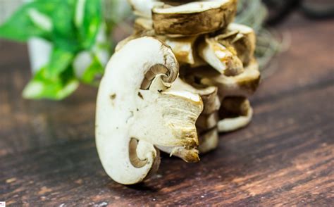 Beginners Guide To Growing Mushrooms Indoors Thirtysomethingsupermom