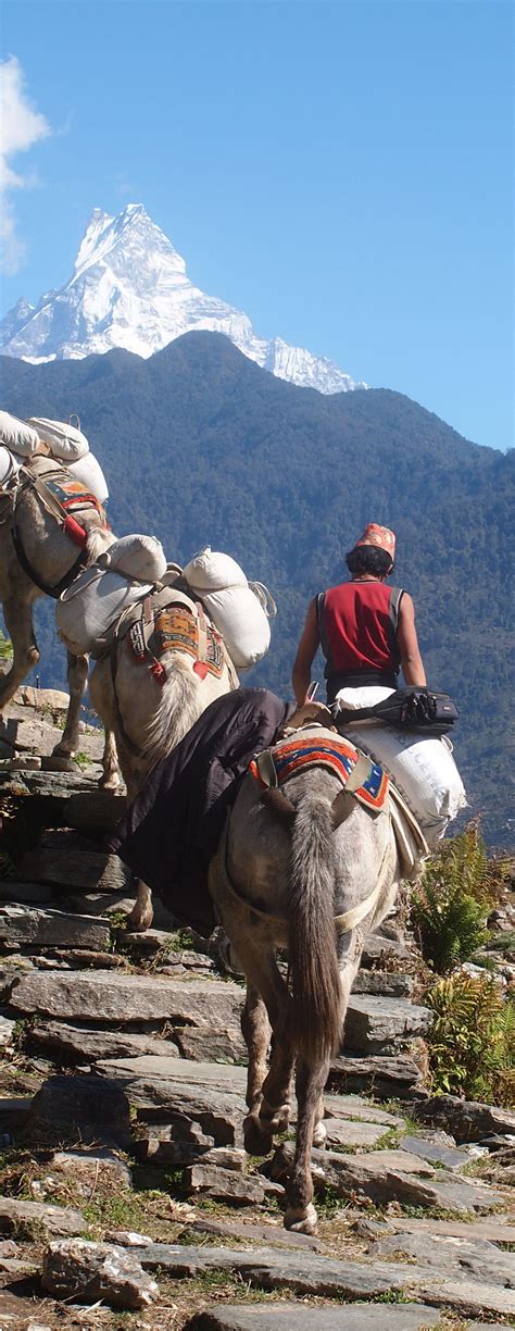 Wonderful Nepal | Nepal travel, Himalayas nepal, Nepal 