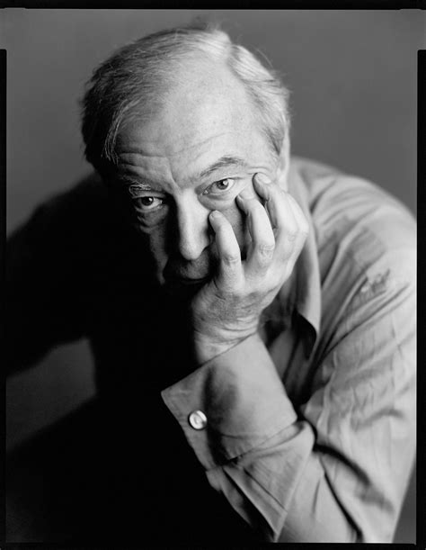 Portrait Of Jasper Johns Timothy Greenfield‐sanders The Broad