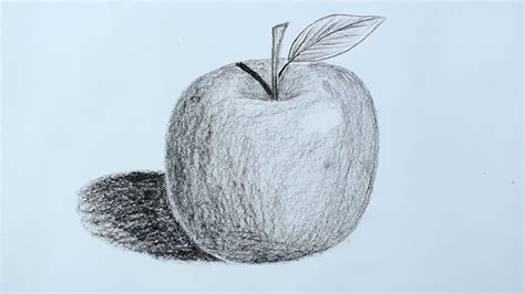 How To Draw An Apple With Pencil Pencil Sketch Youtube