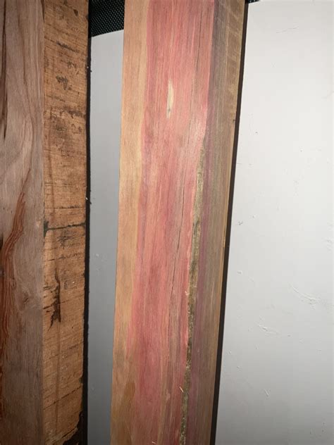 Pink Ivory The Wood Database Hardwood