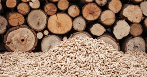 Spalanie Biomasy W Centrum Klimatyczno Rodowiskowej Uwagi Czyli Rewizja Dyrektywy Red Ii