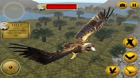 See more ideas about eagles game, eagles, philadelphia eagles. Life of Eagle - Wild Simulator APK Download - Free ...