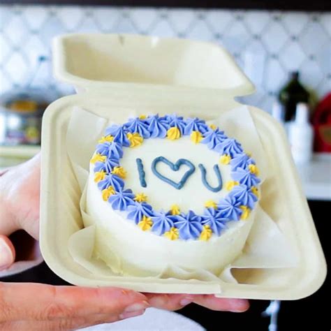 Lunchbox Cakes All You Need To Know To Make This Adorable 45 OFF