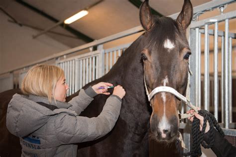 Precision vaccinations publishes vaccine news patients can trust to make informed immunization decisions in partnership with doctors, nurses, and pharmacists. Vaccination af hest - Find din dyrlæge her | Evidensia Danmark