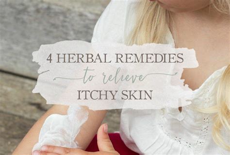4 Herbal Remedies To Relieve Itchy Skin Relieve Itchy Skin Itchy