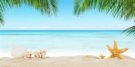 Free Download Tropical Beach With Sea Star On Sand Summer Holiday