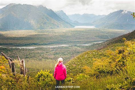 A Guide To Pumalin National Park In Chile — Laidback Trip