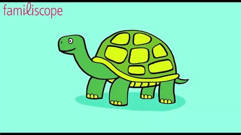 C'est bien ce que je pensais, tout le monde adore les tortues, elles sont rigolotes avec leur maison sur le dos, et lorsqu'on fait la course avec elles, elles nous laissent souvent gagner. Apprendre à dessiner une tortue. - YouTube