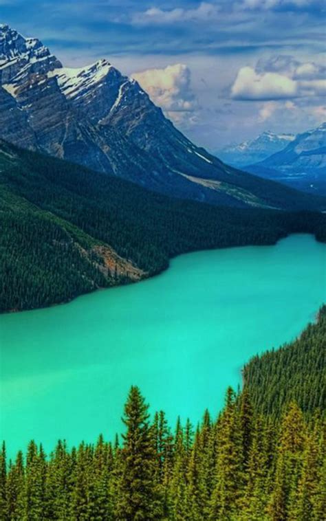 Nature Lock Screen Wallpaper For Android Apk Download