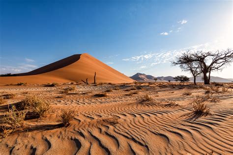 Sand Dunes Namibia Between Sesriem And Sossusvlei In Namibia You