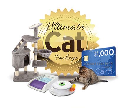 Cat Insurance | Nationwide Cat and Kitten Insurance Plans
