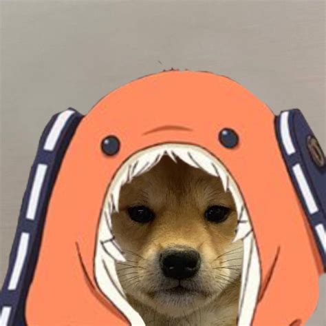 The Best 18 Dog Meme Pfp Anime Benswatware