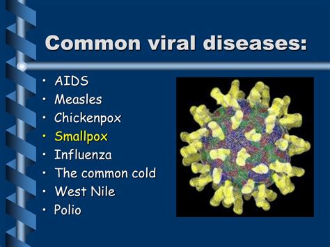 Ppt Bacteria And Viruses Powerpoint Presentation Free Download Id