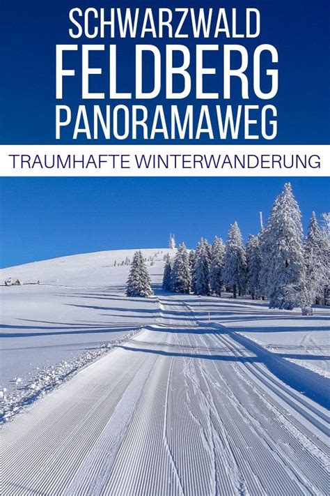 Feldberg Panoramaweg Tolle Winterwanderung Im Schwarzwald Wanderung