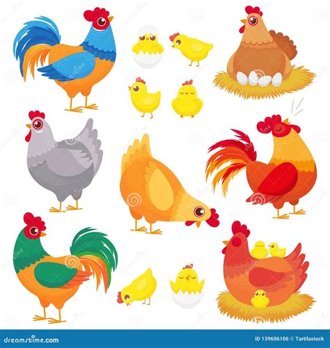 Cute Domestic Chicken Farm Breeding Hen Poultry Rooster And Chickens