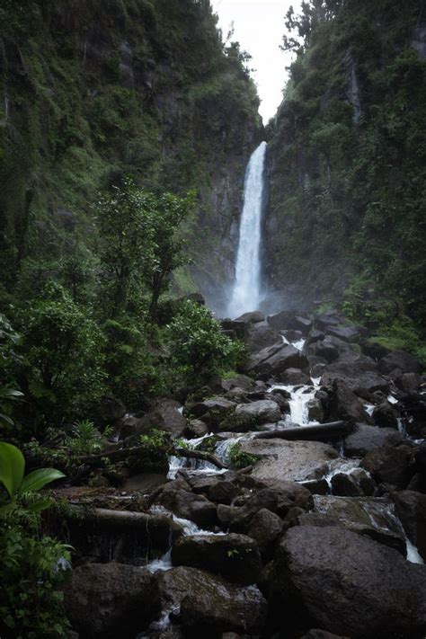 trafalgar falls morne trois pitons national park dominica [2371 × 3557] [oc] amazing nature