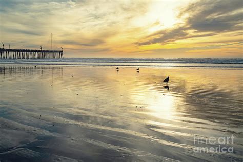 Pismo Beach Sunset Photograph By Hanna Tor Fine Art America