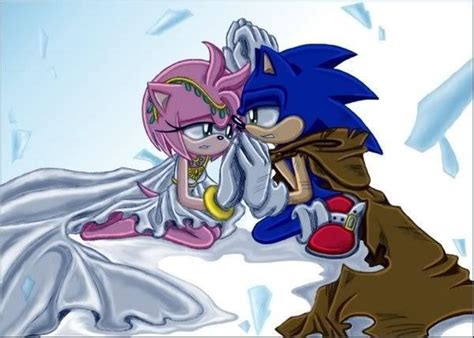 sonic the hedgehog and amyrose princess and her knight sonic and amy photo 10535086 fanpop