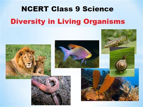 Ncert Class 9 Science Chapter 7 Diversity In Living Organisms Pdf