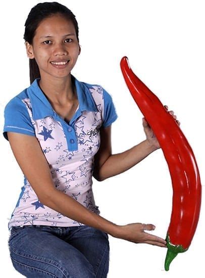 Chilli Pepper Red Larger Than Life Sculptures Natureworks
