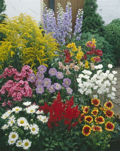 We Sell Lots Of Different Perennial Collections That Will Give You An