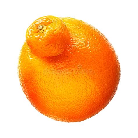 Mandarin Tangerine Citrus Fruit Isolated Stock Image Image Of Orange