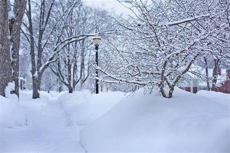 Deep Snow Winter Michigan Snowy · Free Photo On Pixabay