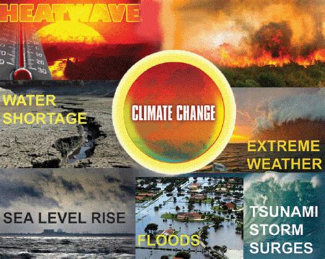 Effects Of Climate Change Health Environment
