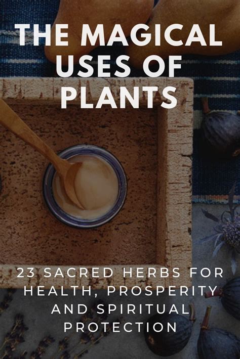Magical Plants 23 Sacred Herbs For Health Prosperity And Spiritual