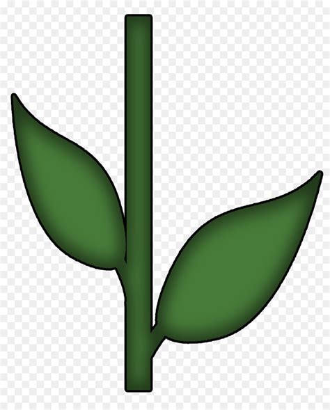 Plant Stem Clip Art 10 Free Cliparts Download Images On Clipground 2024