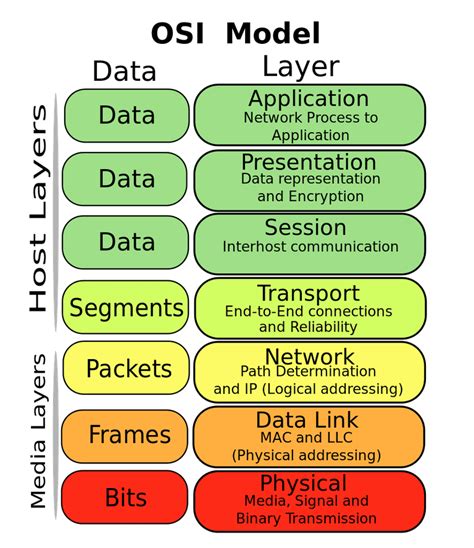 OSI Model Reference Guide With Examples