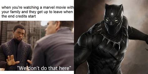 Black Panther 10 Funniest We Dont Do That Here Memes